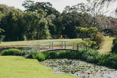 The Eumundi Dairy - QLD Tourism 0