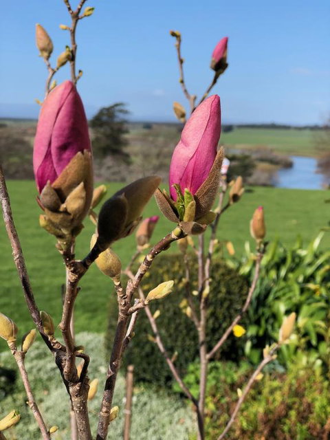 The Granary - Queensland Tourism 3