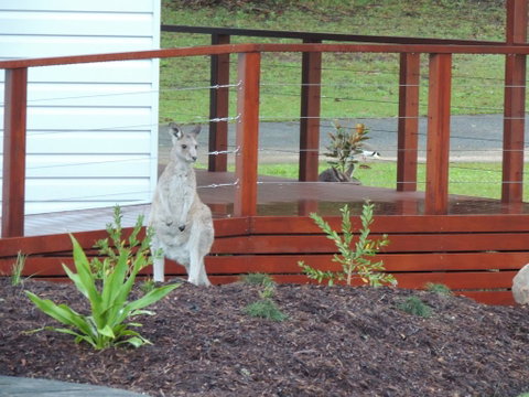 The Pouch B & B - QLD Tourism 1