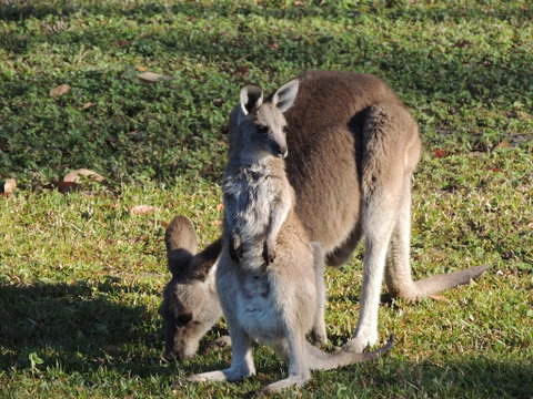 The Pouch B & B - QLD Tourism 2