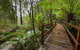 The Source, Otways - thumb 0
