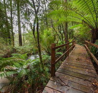 The Source Otways - QLD Tourism