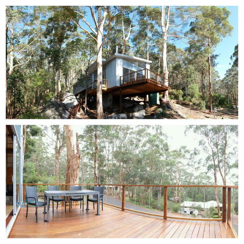 The Tree House - QLD Tourism 3