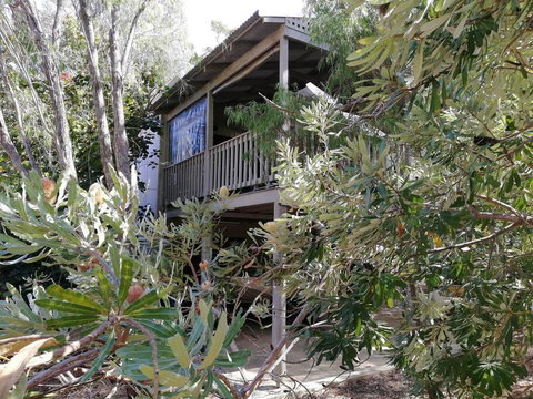 The Treehouse In Dawesville - QLD Tourism 2