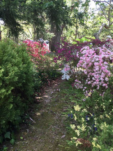 The Wentworth Retreat - QLD Tourism 3