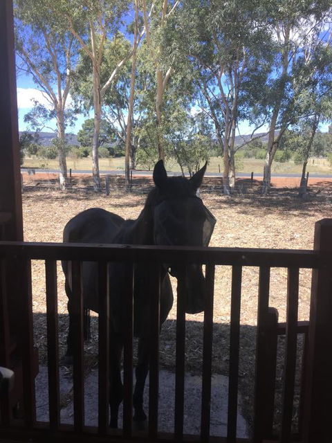 Thie My Chree Retreat - Queensland Tourism 3