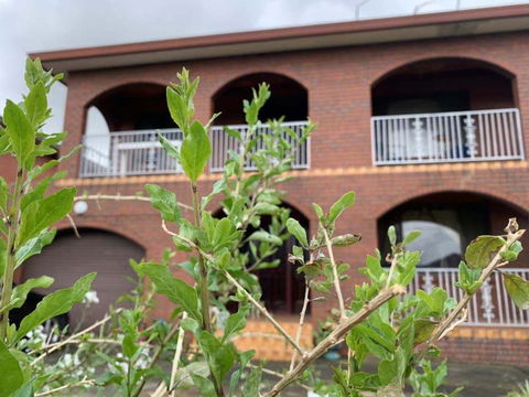 Thomastown Antique House Room 3 - Queensland Tourism 1