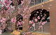 Thomastown Antique House Room 3 - thumb 3