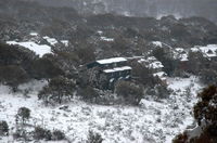 Book Thredbo Accommodation Vacations QLD Tourism QLD Tourism