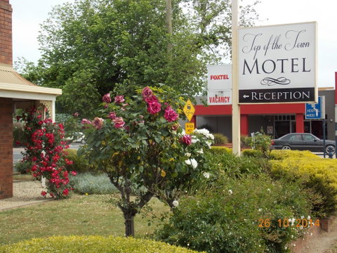 Top Of The Town Motel - QLD Tourism 3