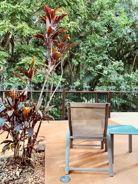 Tranquil Setting In Buderim - QLD Tourism 3