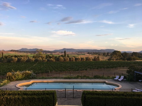 Tranquil Vale Vineyard - QLD Tourism 0