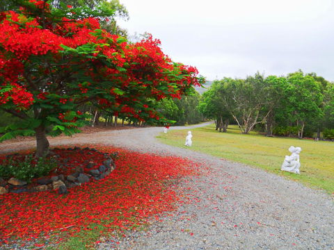 TRANQUILO BEACH HOUSE - QLD Tourism 1