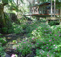 Treetops Montville - QLD Tourism