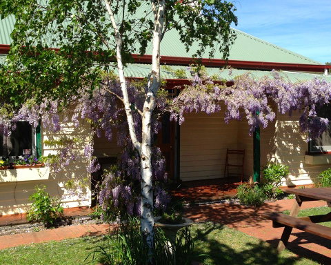 Triabunna Cabin & Caravan Park - QLD Tourism 1