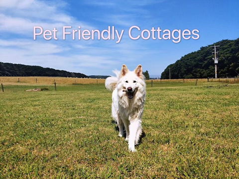 Twelve Apostles Motel & Country Retreat - Queensland Tourism 2