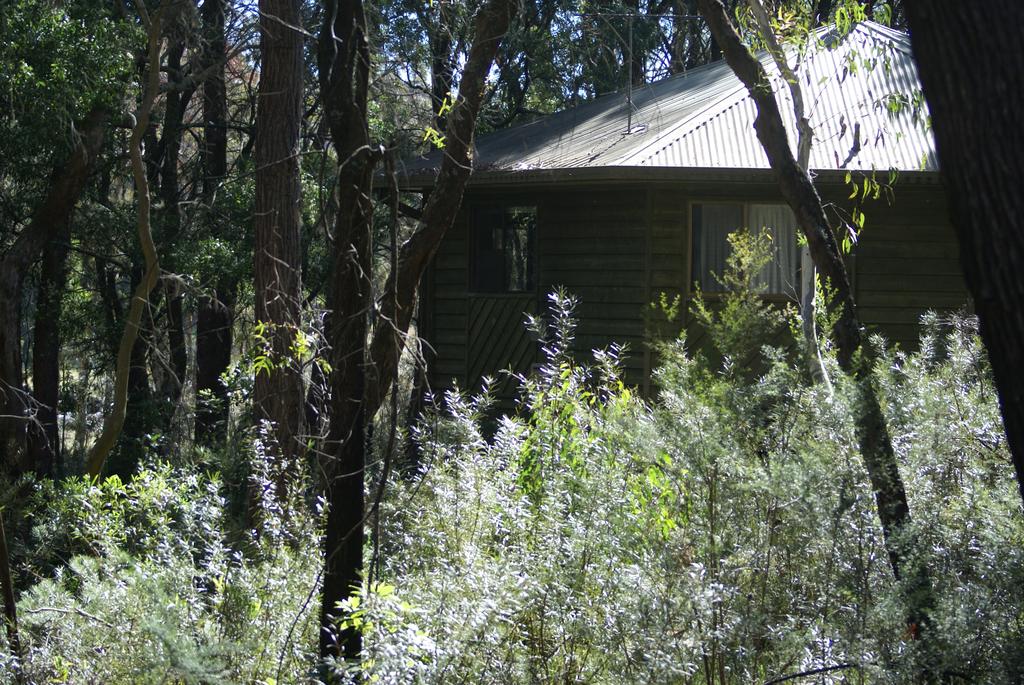 Fitzroy Falls NSW Queensland Tourism