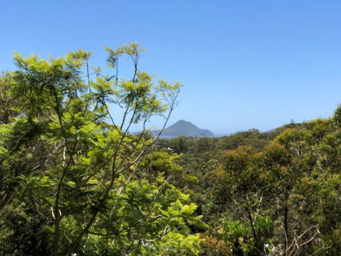 Ullora Road 38 - QLD Tourism 2