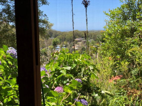 Ullora Road 38 - QLD Tourism 1