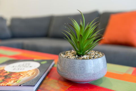 Urban Jungle! Executive Apartment In Heart Of CBD - Queensland Tourism 1