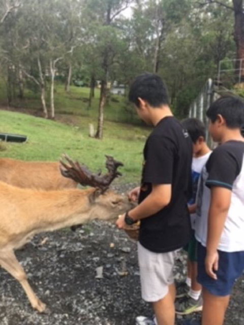 Villa Cervi Property - QLD Tourism 3