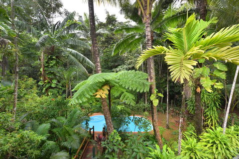Wait A While Daintree - Queensland Tourism 3
