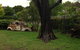 Walcha Royal Cafe & Accommodation - thumb 1