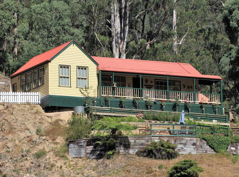 Walhalla Wild Cherry - QLD Tourism 0