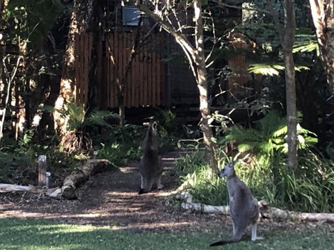 Wanderers Retreat - QLD Tourism 2