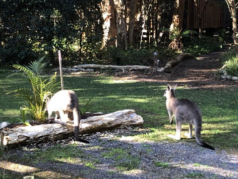 Wanderers Retreat - QLD Tourism 3