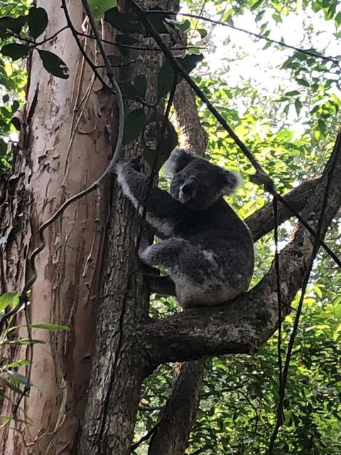 Wanderers Retreat - QLD Tourism 1