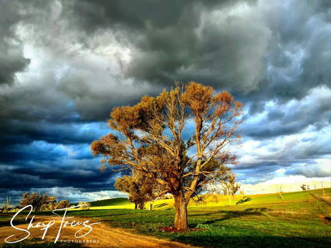 Wantana Cottage Farmstay - QLD Tourism 2