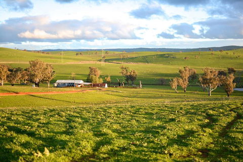 Wantana Cottage Farmstay - QLD Tourism 0