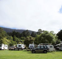 Warburton Holiday Park - QLD Tourism