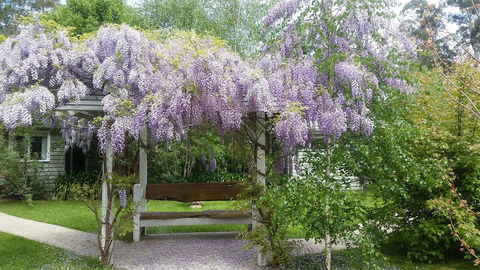 Amelina Cottages - Queensland Tourism 0