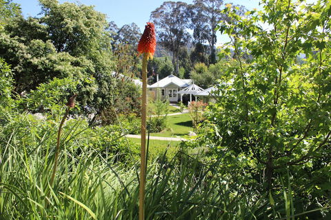 Amelina Cottages - Queensland Tourism 23