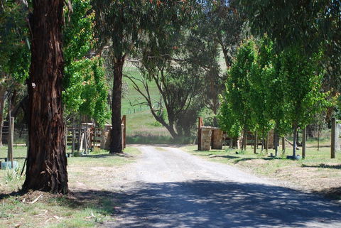 Bluegum Ridge Cottages - Queensland Tourism 3