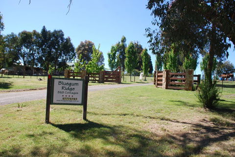 Bluegum Ridge Cottages - Queensland Tourism 1