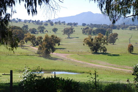 Bluegum Ridge Cottages - Queensland Tourism 31