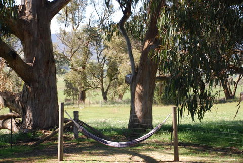 Bluegum Ridge Cottages - Queensland Tourism 28