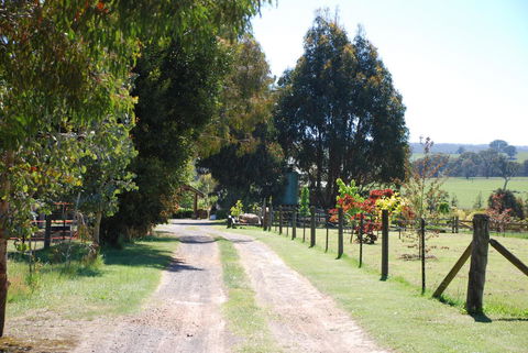 Bluegum Ridge Cottages - Queensland Tourism 4