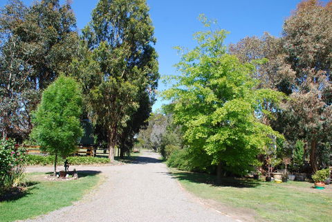 Bluegum Ridge Cottages - Queensland Tourism 5
