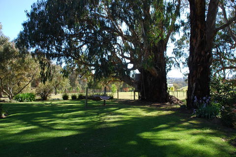 Bluegum Ridge Cottages - Queensland Tourism 29