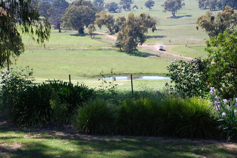 Bluegum Ridge Cottages - Queensland Tourism 30
