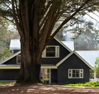 The Orchard - Queensland Tourism