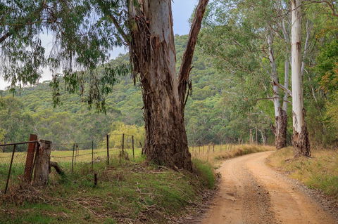 Alpine Aspects - Queensland Tourism 10