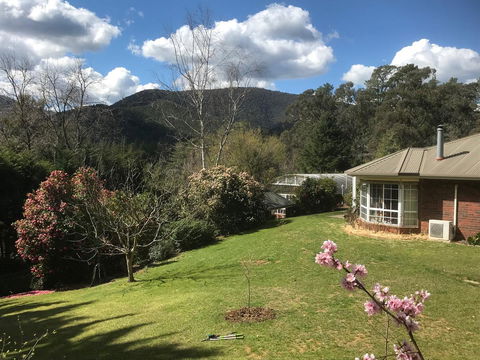Alpine Aspects - Queensland Tourism 23