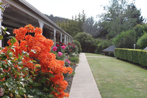 Alpine Aspects - Queensland Tourism 34