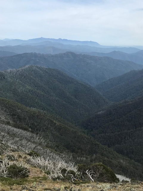 Alpine Aspects - Queensland Tourism 9