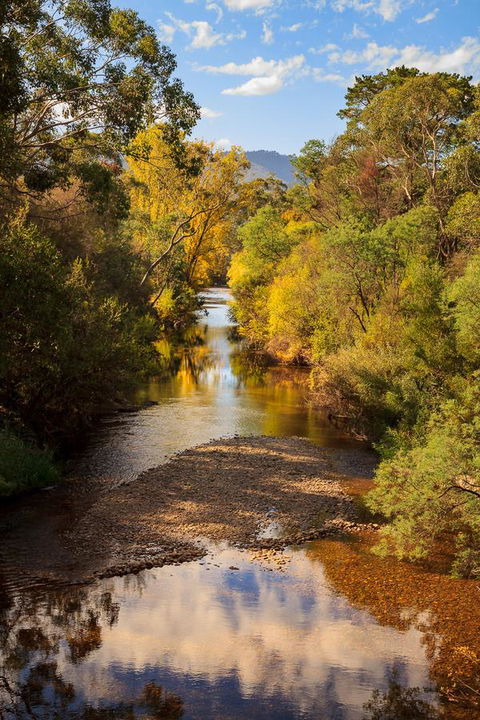 Alpine Aspects - Queensland Tourism 31